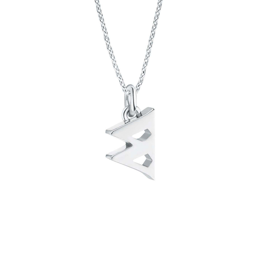 Seed w Silver Necklace
