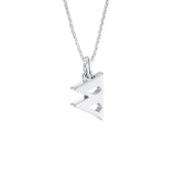 Seed w Silver Necklace
