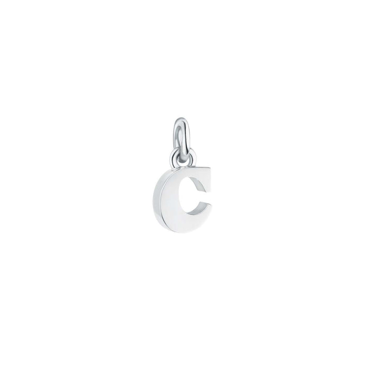 Seed c Silver Pendant