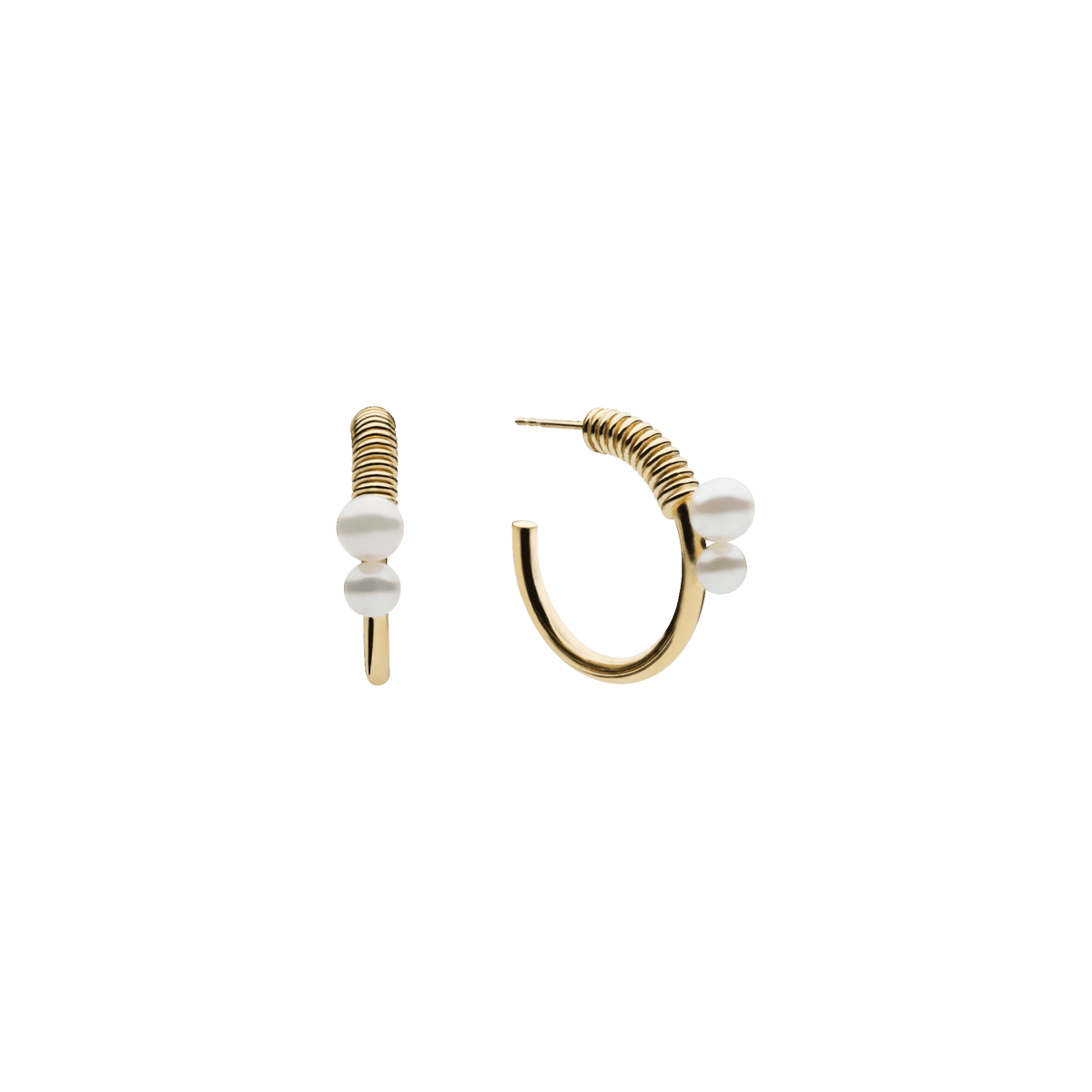 Stella Point Earrings Gold Plated