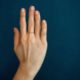 The Companion - 18K Gold / 48