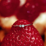 The Controversial - 18K Whitegold / 48