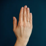 The Controversial - 18K Whitegold / 48