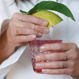 The Companion - 18K Gold / 48