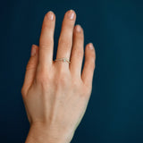 The Curved Bun - 18K Gold / 48