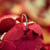 The Eternity - Midi / 18K Gold / 48