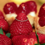 The Roulette Mini - 18K Whitegold / 48