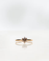 The Solitaire Goldring aus 18K Weißgold oder Rosegold I Chocolate Diamant