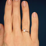 The Tiara - 18K Gold / 48