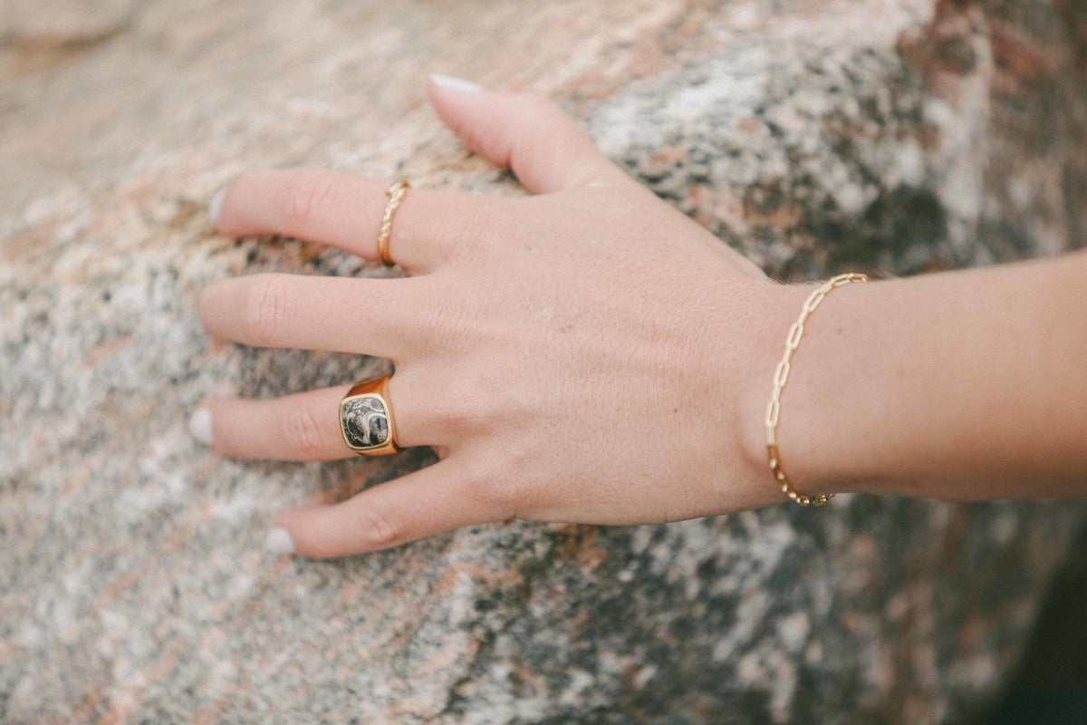 IX Cushion Turtle Agate Gold Plated Signet Ring