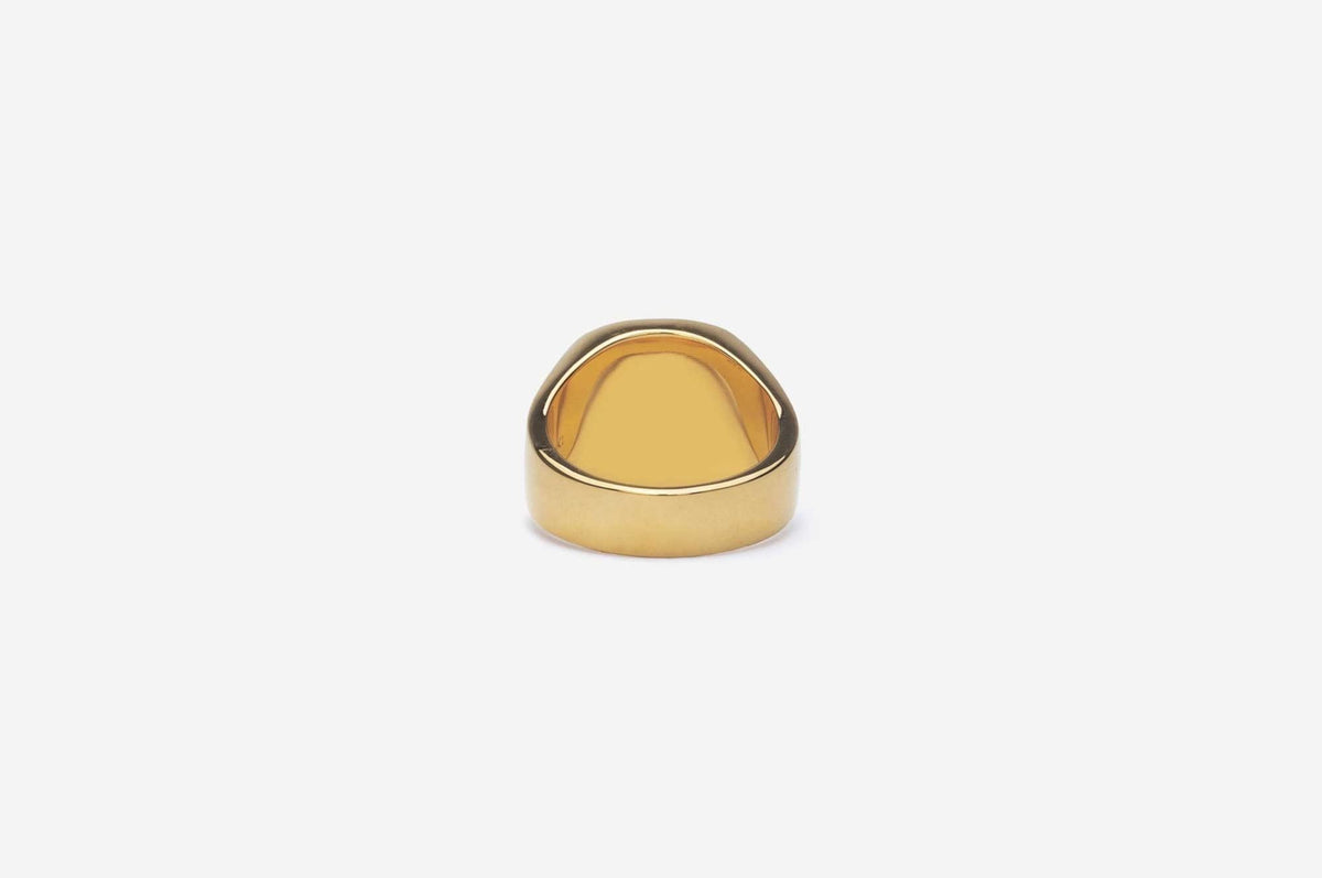 IX Cushion Turtle Agate Gold Plated Signet Ring