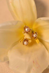 Venus Clam 18K Gold Studs w. Pearls