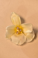 Venus Clam 18K Gold Studs w. Pearls