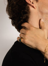 IX Cushion Signet 22K Gold Plated Ring w. Hawks Eye Ring