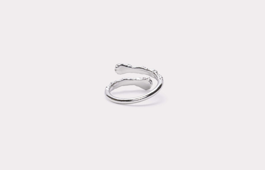 IX Crunchy Nature Ring