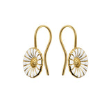 Daisy hook Gold Plated Earrings