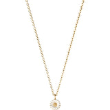Daisy 11 mm. Gold Plated Necklace