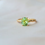 Ovala Niyon 18K Guld Ring m. Turmalin & Diamanter