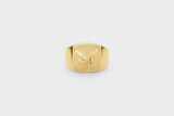 IX Eagle Signet Gold Plated  Ring