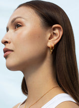 Medium Swirl 14K Gold Plated Hoops