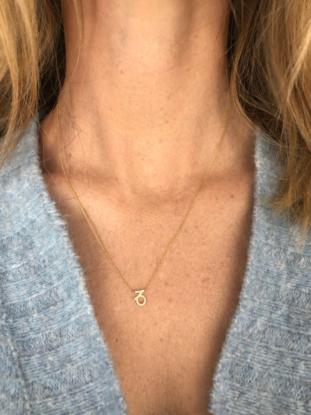 Petit Sign Capricorn 18K Gold Necklace w. Diamonds