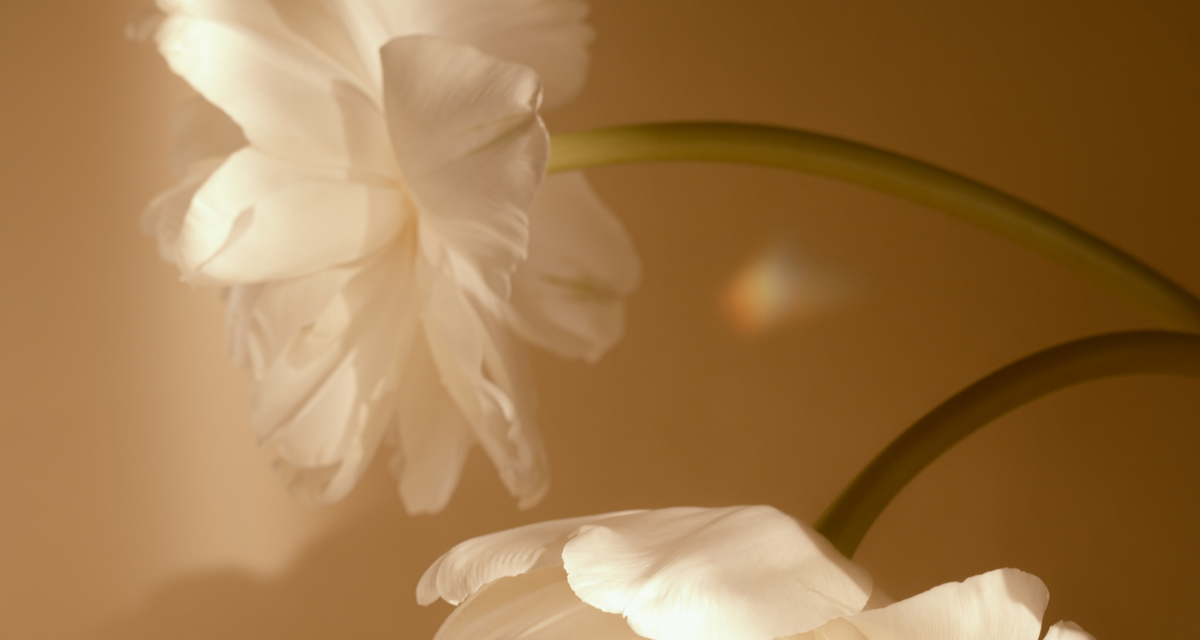 Spring is engagement season. Here’s why…