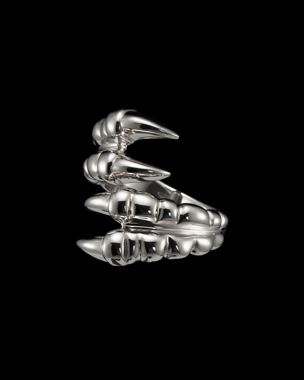 Claw Double Silver Ring