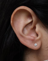Six Prong Diamond 14k Whitegold Studs w. Diamonds