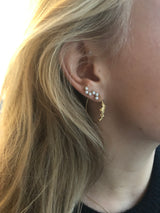Small Curves 9K Gold Earring w. Pearls