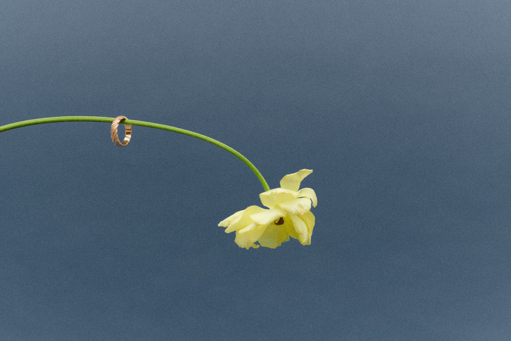 Duality 5 14K or 18K Gold, Whitegold or Rosegold Ring