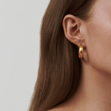 Sparrow Midi Gold Plated Hoops