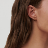 Sparrow Mini Gold Plated Hoops