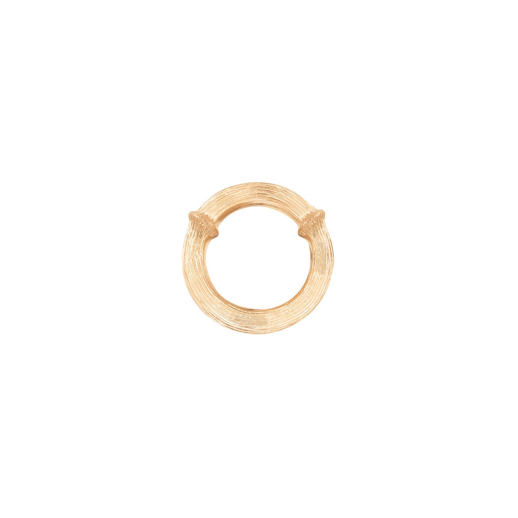 Nature 18K Gold Earring-pendant