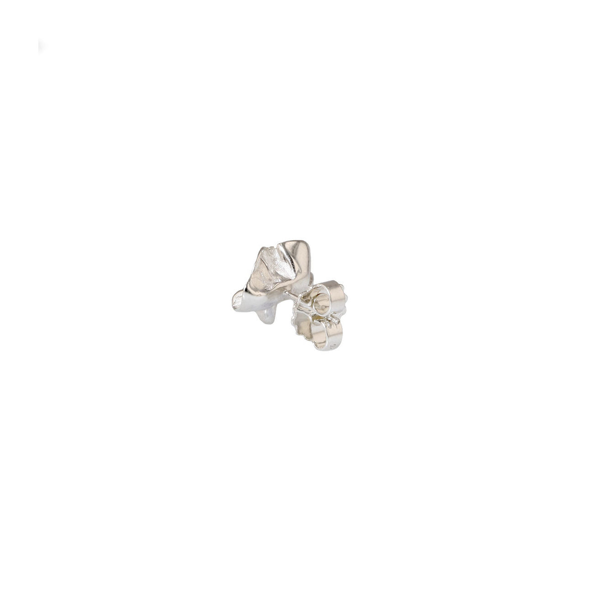 Lactuca Silver Studs