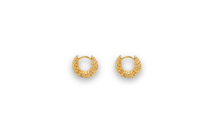 IX Zoe 22k Forgyldt Hoop