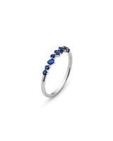 https://ik.imagekit.io/fzkghjurk1l/resize-external/https://storage.googleapis.com/shop_images/Akind/WG%20Sapphire%20Cluster%20Band%20studio%202.png?tr=w-2000,h-2000,c-at_max,f-jpg,bg-white