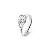 Winter Frost Solitaire 18K White Gold Ring w. 11 Diamonds