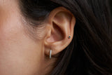 Black Diamond 14K Gold Studs