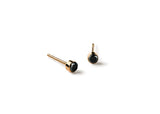 Black Diamond 14K Gold Studs