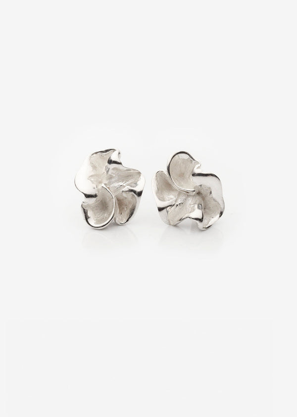 Lactuca Silver Studs