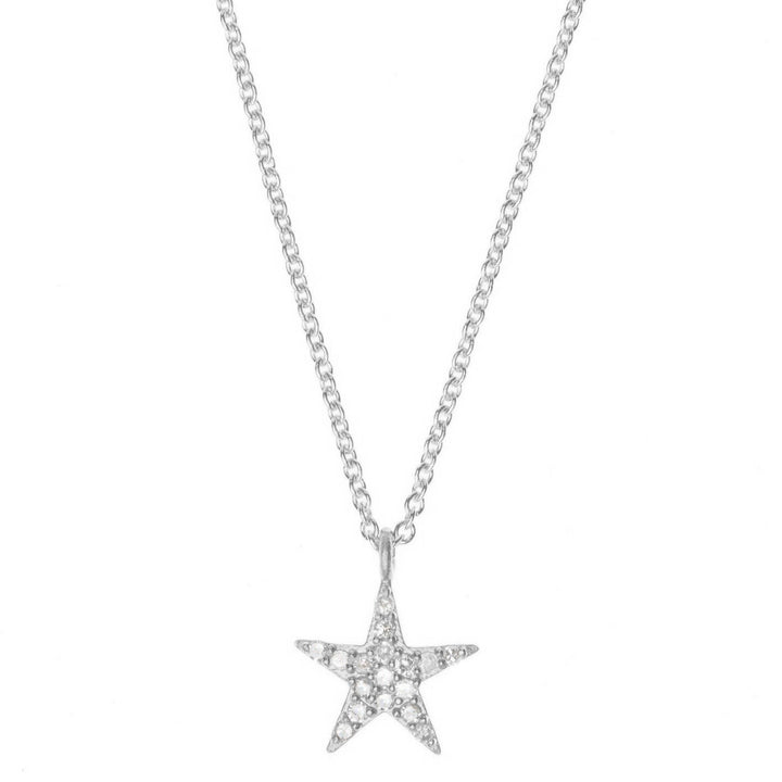 Large Star Silver Necklace w. Diamonds