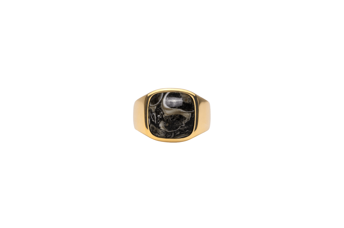 IX Cushion Turtle Agate Gold Plated Signet Ring