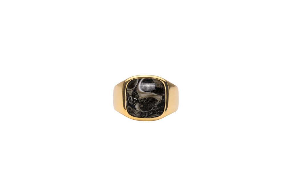 IX Cushion Turtle Agate Gold Plated Signet Ring