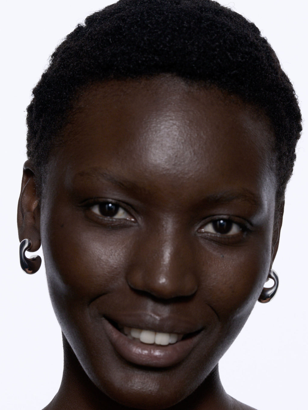 Dolphin Small  Silver Earrings