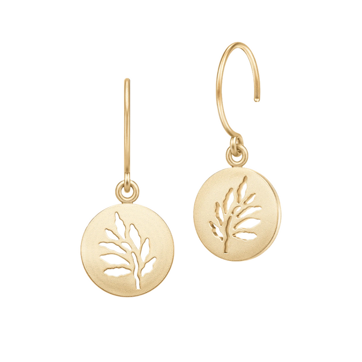 Signature Forgyldte Øreringe