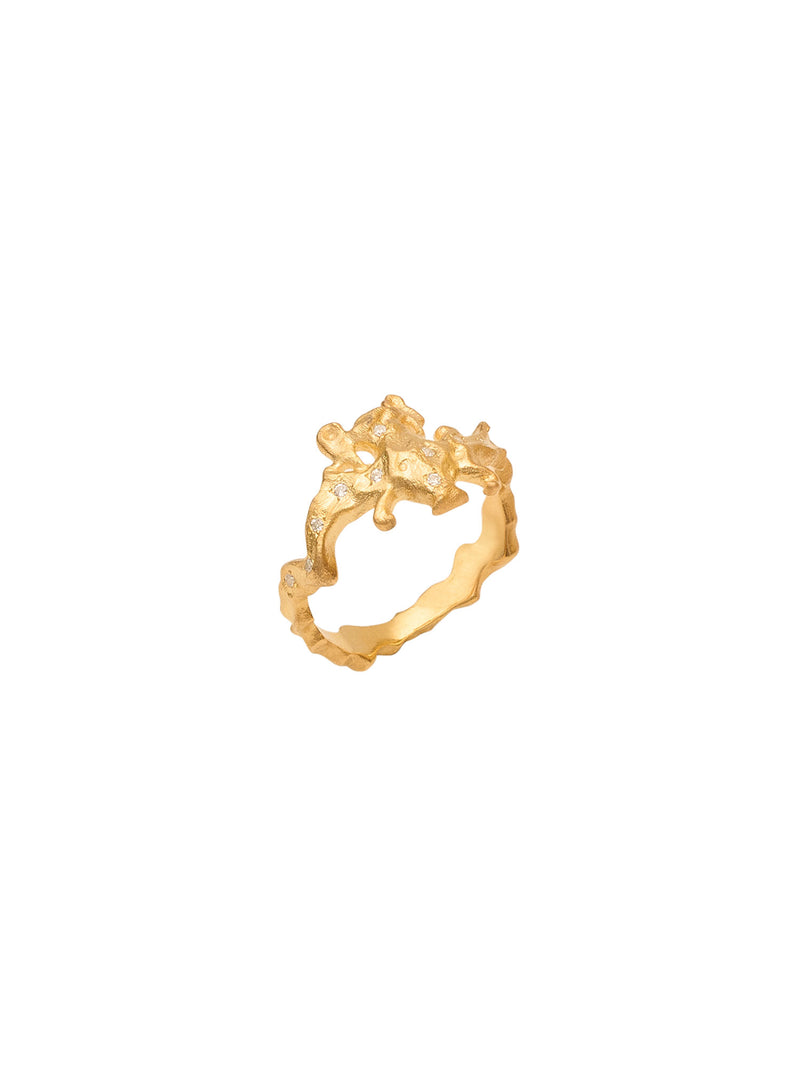 Aquarius 18K Gold Ring w. Diamonds