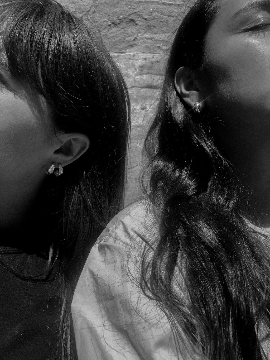 Lactuca  Silver Hoops