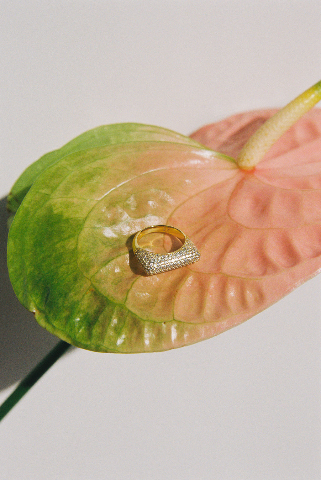 Sculpt Slim Paved 18K Gold Ring w. Diamonds