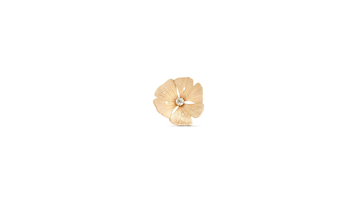 little bo ginko or face