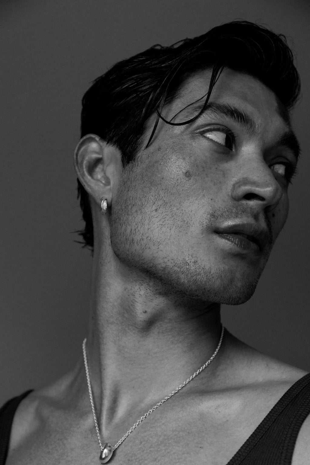 Lactuca  Silver Hoops